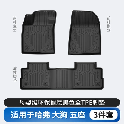 Modelə uyğun ayaqaltı Big Dog, Menglong, Xiaolong - haval-big-dog-tpe-floor-mats-single-layer