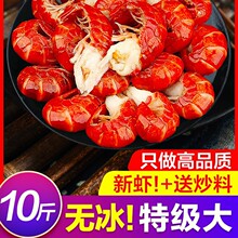 ���rβ����r��С���r�o�������rβ��̖�r���r�����l���r����