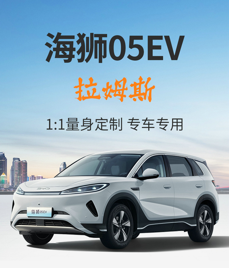 BYD Sealion 05EV Special Cushion, All Seasons Seat Cover