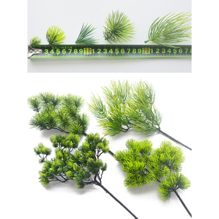 ��֦����_�h�ɼ�ӭ�������~�~�������ɘ������ɺ����쾰���~