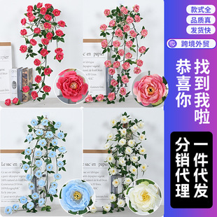 �ڒ��F�z���Ȼ��Gֲ�b��ڻ�Y����ĵ��õ��õ�廨�Ҿ��b��