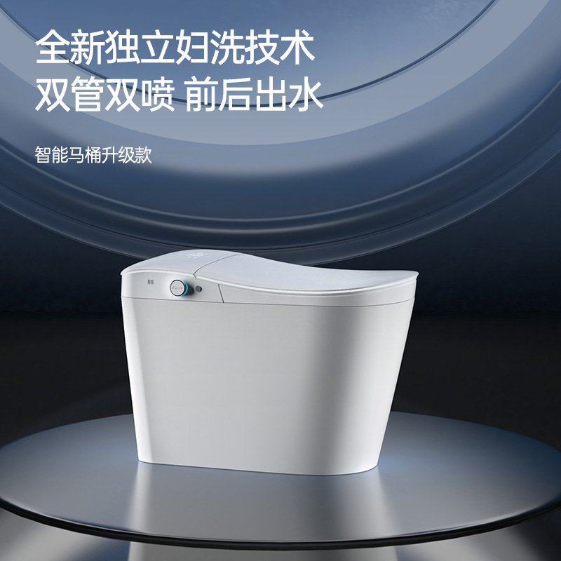Nuevo hogar totalmente automático lavado trasero ligero inteligente asiento de inodoro al por mayor, Guangdong Chaozhou pequeño baño de casa