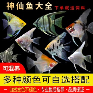 �����~�������~������ɫ�Ꭷ�~���w�^�p�~С���~��ˮ�߲������~��