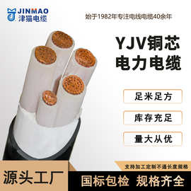 国标yjv电缆天津小猫厂全检纯铜电缆线12345芯1.5-300平电力电缆
