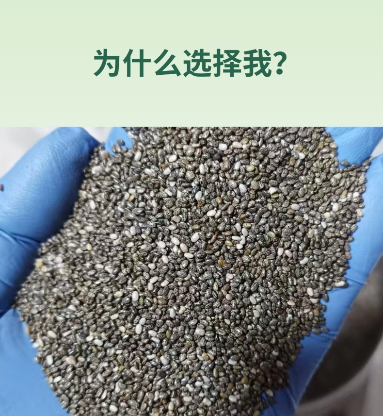 Chia Seed Powder Pure Raw Superfood Meal Replacement 500g Bulk Wholesale key features