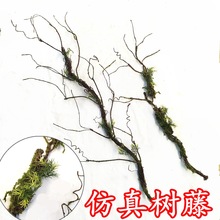 �����ٗl�Gֲ��������̦�\�٘����҃Ȳ���ܛ�b�����쾰diy�b�