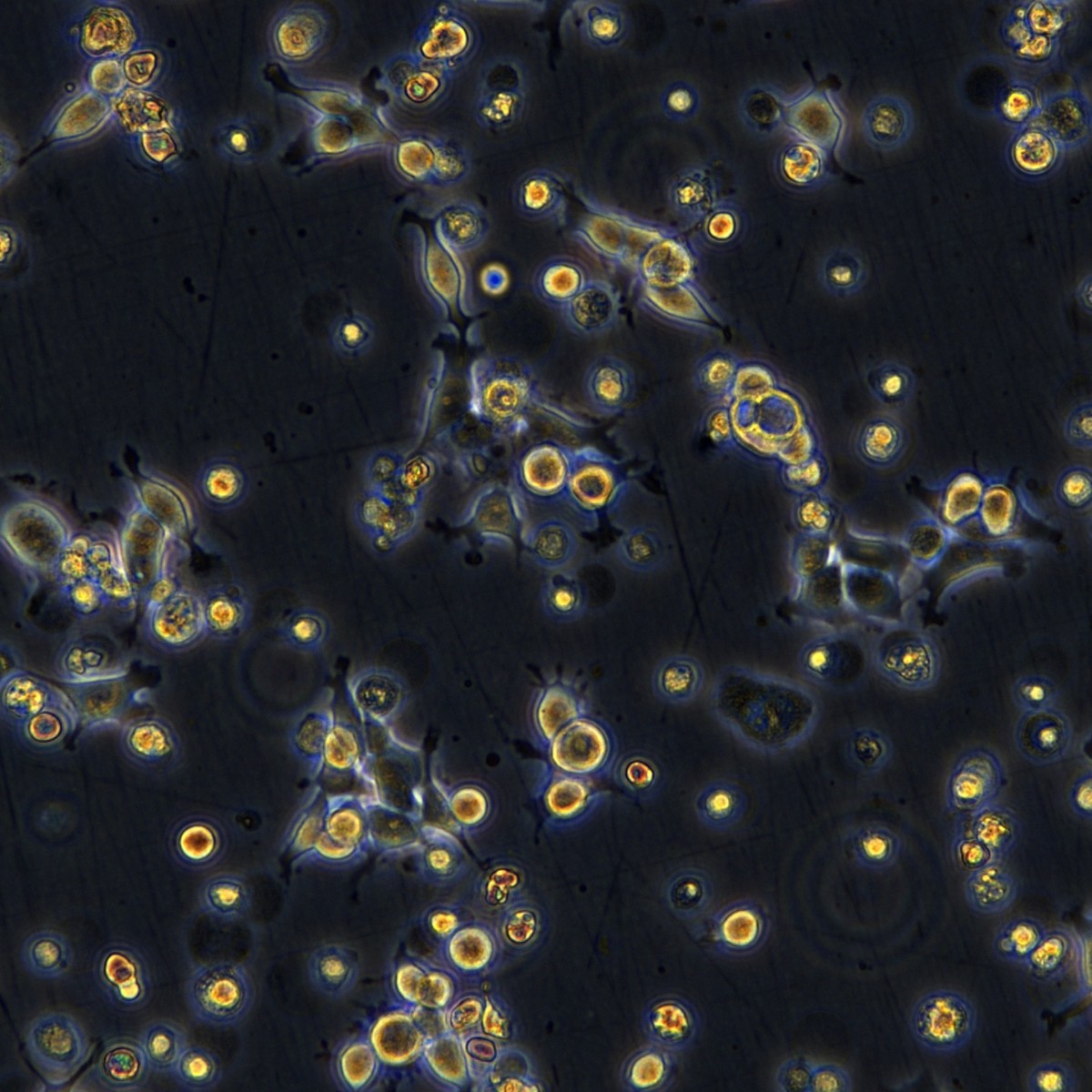 2025-11-04 15:10:25.jpg