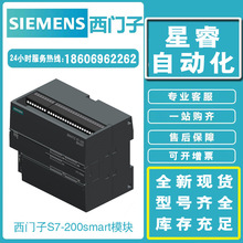 6ES7288-1SR40-0AA0TS7-200 CPUģK6ES7288-1ST40-0AA0ԭb