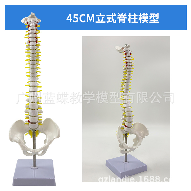 SKU0