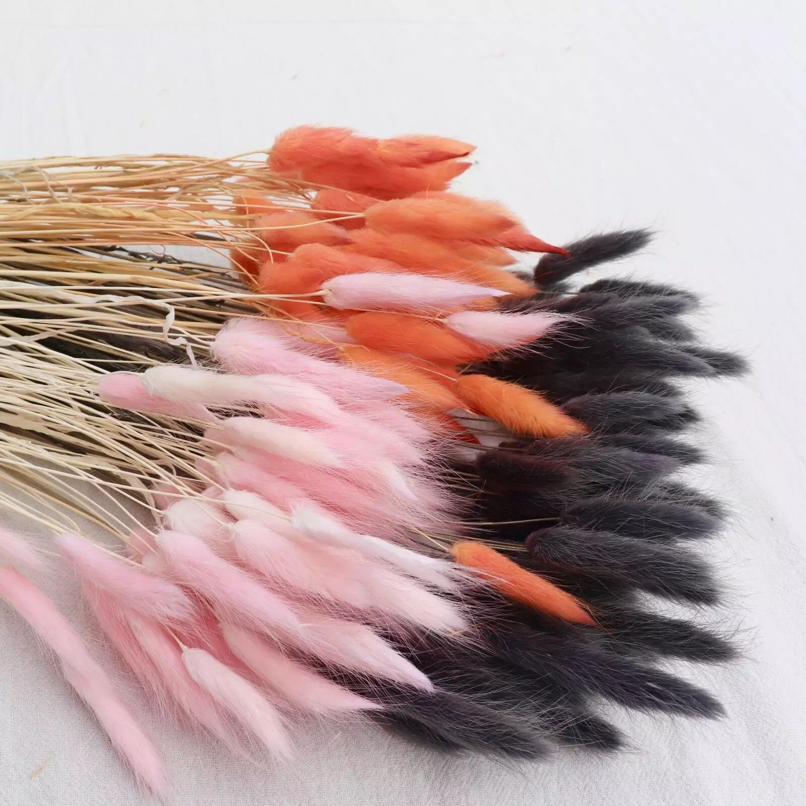 QQ图片20210423191937