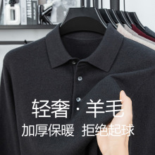 濮院男士100%纯羊毛衫秋冬翻领加厚保暖高级感纯色打底衫毛衣男