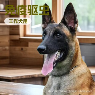 �����RȮ����Ȯ܊��Ȯ����Ȯ�Ѿ�Ȯ�o�lȮ�t�R����Ȯ������w����