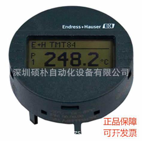 德国E+H 温度变送器显示器 TID10-A1