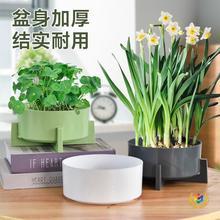 ?�¿�ˮ���豱�W�L�´ɴ�̖�~�X����ɏ�N�ӾG�}ˮ�ɻ�ֲ���֬��