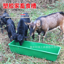 养猪设备猪羊槽子加厚牛槽骆驼马槽可新料熟胶装水喂猪的长型塑料