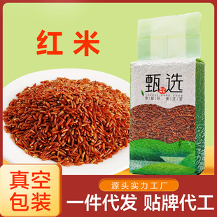 �t��500����հ��b�|����������s�Z����ּZ�t���� �t�������l