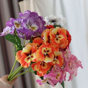 ����������ɫ�������m�ٻ��쾰�b��R�d�[�����߷��滨��������