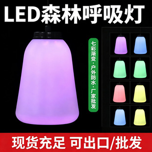 LEDɭ�ֺ������߲�׃ɫ�����b����҃���ͨ��LEDɭ�ֺ�����