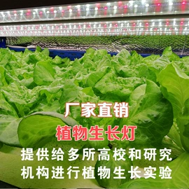 植物生长灯;LED硬灯条;格栅灯