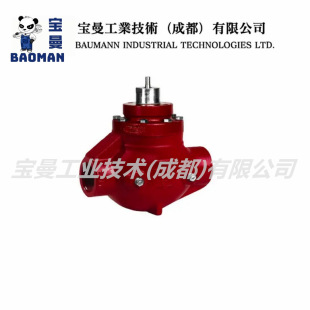 ȫ��Kimray�Pķ�� EFHBW �\ʽ����߉������y 2'' Һ�w���w���|