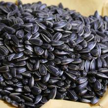 黑珍珠油葵瓜子500g2斤3斤五香油葵炒熟新鲜毛磕生熟瓜子批发