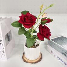 �羳����õ�廨���滨���^�Ҿӷ������ԾGֲ�b�c����С�辰