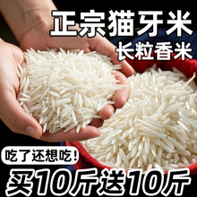���I10����10�؈���׳��L������ܛŴ���׽z�����r��������