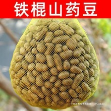 2024����ɽș�����r���Ͻ����F��ɽș�����r��̖5��3ɽș���Ǻ��J