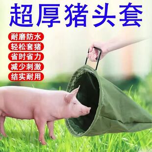 �i�^�Ӻ�����i���Ӵ�ᘹ����B�i���Bֳ��ץ�i�����s�i�����i��