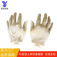 厂家定制发泡PU人体模型医学院教学仿真手臂模型器材仿真人体假肢