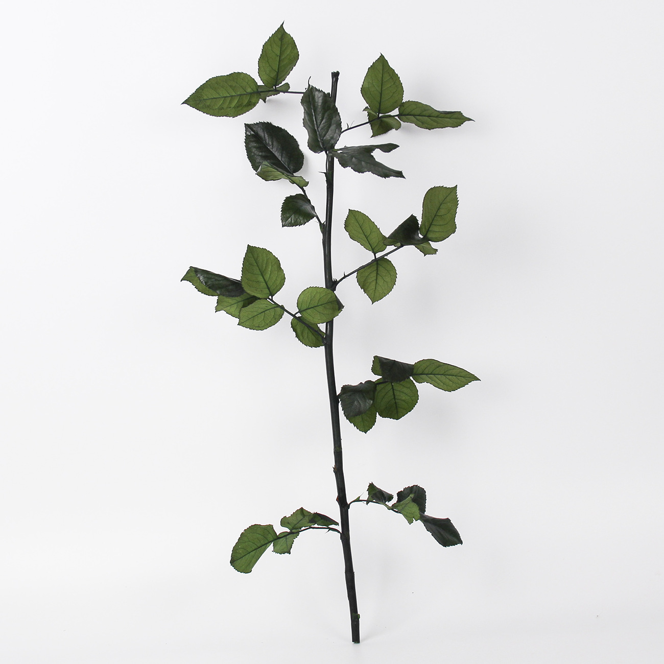 Fábrica al por mayor grado Rosa ramas Eternal Rose ramas sola rosa Rod arreglo floral con flores