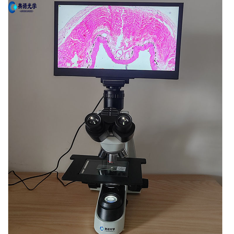 科研教学生物显微镜配一体显示器可拍照录像测量科研观察专用高清