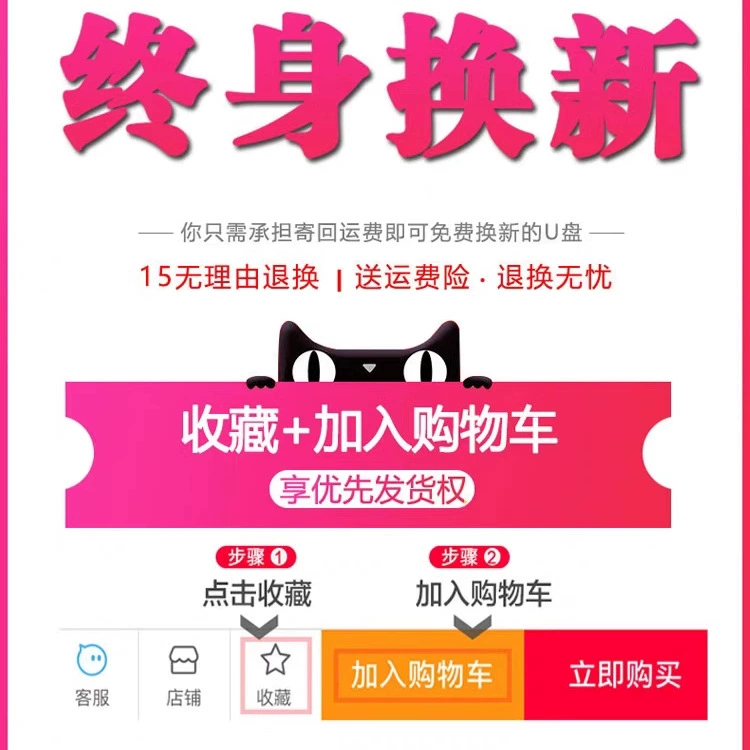 Car U disk songs 2025 new Douyin hot DJ Chinese lossless MP3 classic music U disk others