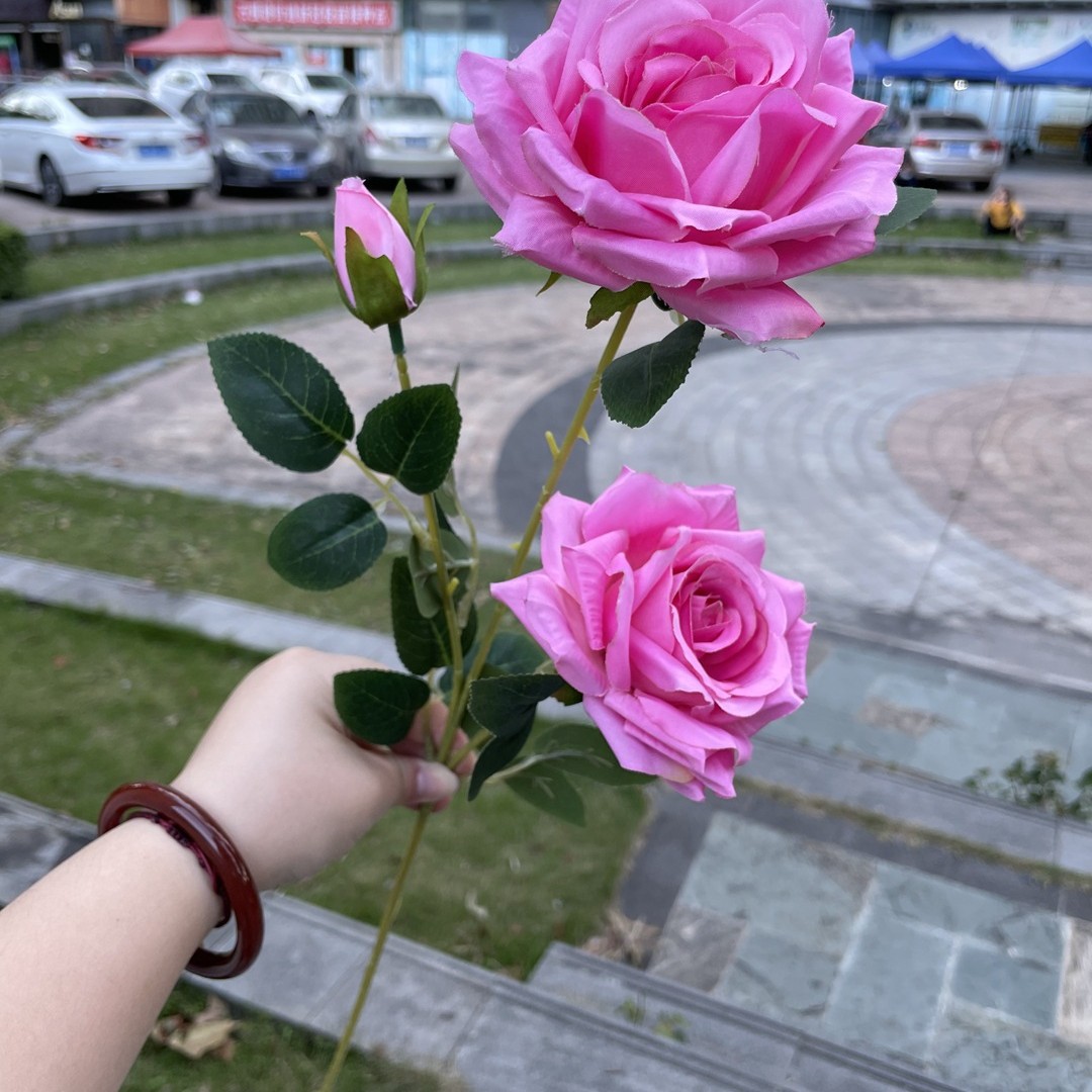 3 cabezas de diamante Rosa Light Rose Red