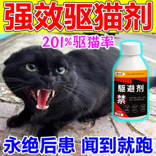 �؈���������LЧ�������s��؈��܇�Ï����؈��������