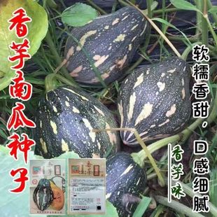 ���������ϹϷN�Ӵ����＾�ļ������۱���Ŵ�t�����ϹϷN�Ѳ˷N��
