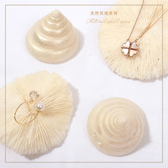 Natural coral photo props ins Internet celebrity manicure Korean ornaments shells and conch photography props