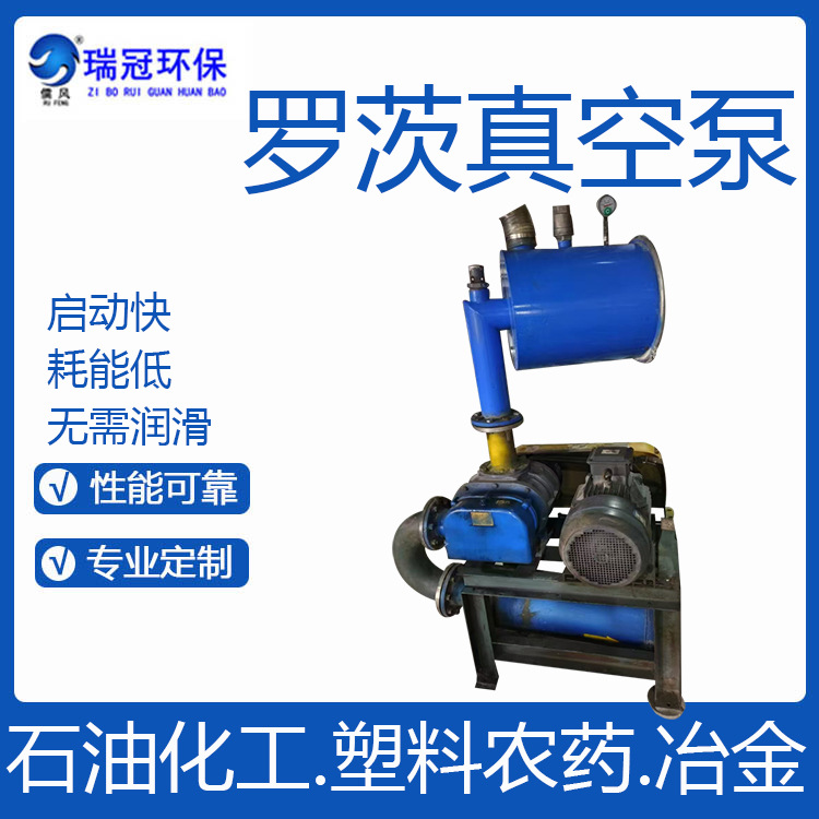 瑞冠 污水处理增氧负压 罗茨真空泵 曝气三叶罗茨鼓风机