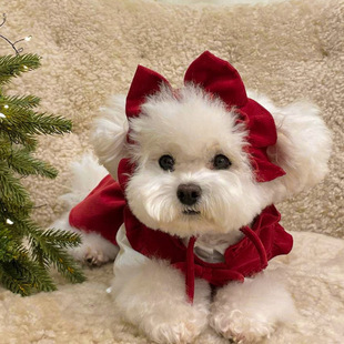 ���������L�ɐ��������Y�·�С��ȹ�����״�Ó�����·��}�Q��