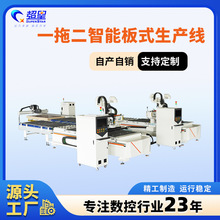 橱柜门板雕刻机全自动板式家具切割下料一拖二木工数控台式切割机