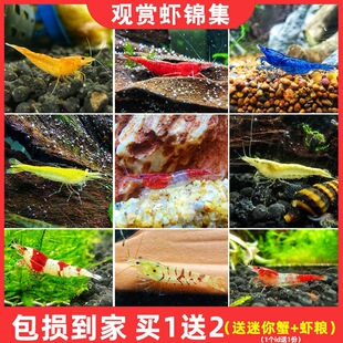 �ښ��r�r���^�p�r�絭ˮ�Bֳ��ͳ����r���w����ѻ��r�O��ˮ���r