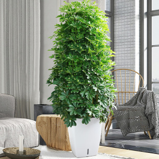 ���_ľ���~ɏ�lؔ��˷���ؔ�Z�Ʋ������k���ҿ͏d���;Gֲ���辰