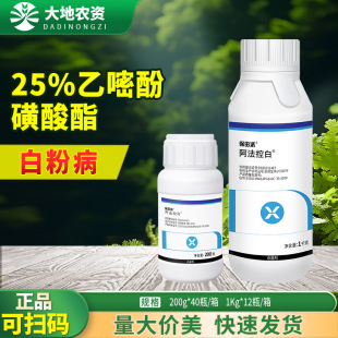 ������ �����ذ� 25%���׷ӻ������S�ϰ׷۲��r���rș������200g