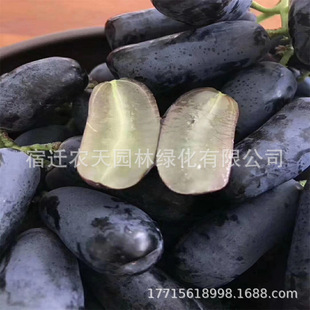 ����Y���{��ʯ�������ј���ͥԺ���ٹ��������Ե����ϱ����Nֲ��