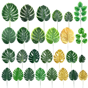 ���������~ �羳������������~��ֲ��bҾ��b� �ָ������~