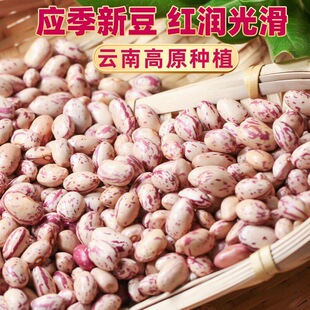 ���ȸ�����̻�ܿ����؛�L�r�s�Z���r������ȸ����ӻ���녶��