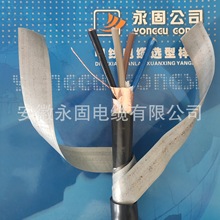 SֱNZCN-KVVP2-22-4*6ȼͻOٰl؛늏Szb|