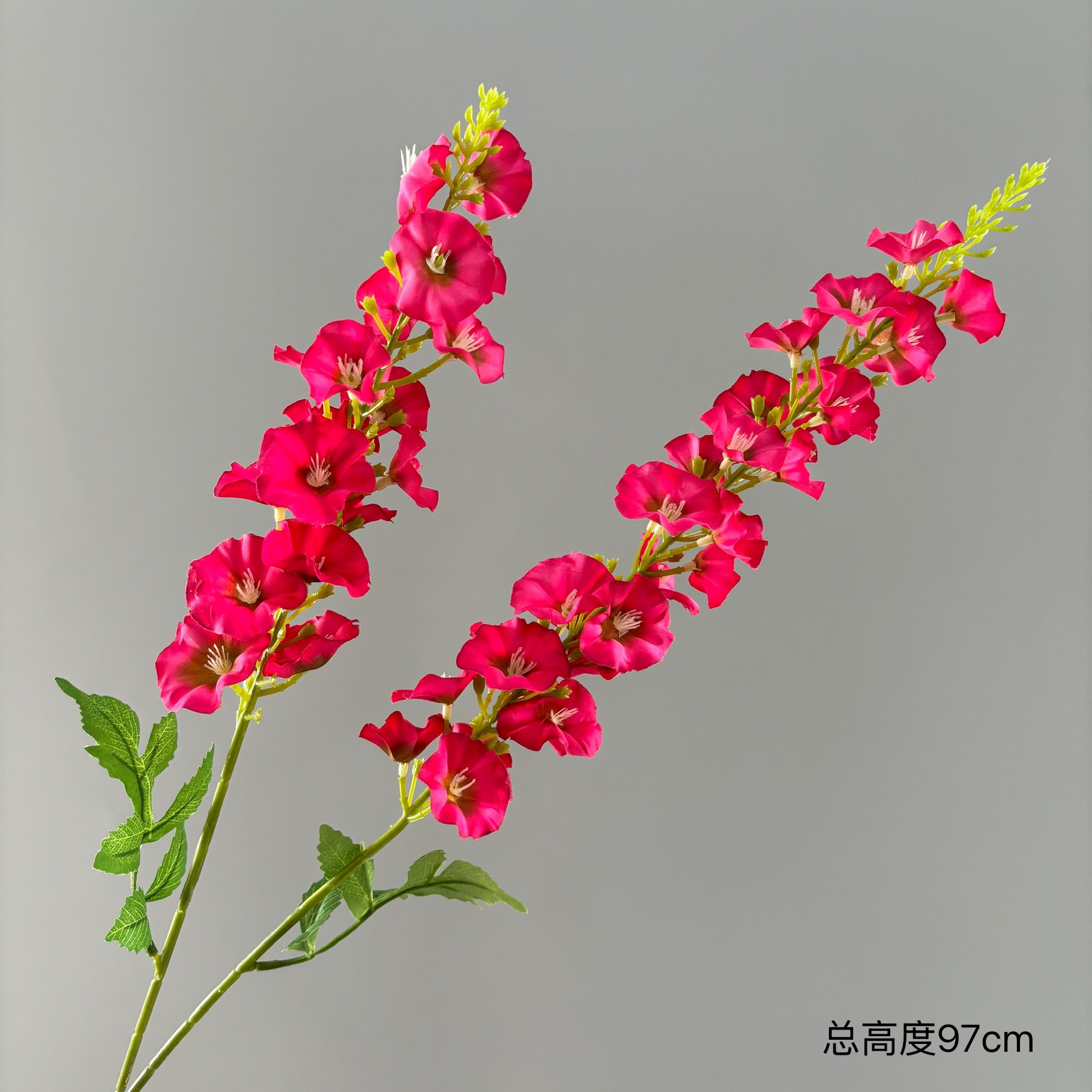 치히로 솟아오르는 제비풀 포크 2개