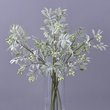 Դ^S؛ëϙֲqGֲlcܛbꐷ~