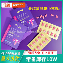 蔓越莓凤巢小紫丸无糖型软胶囊女性卵巢保养益生菌平衡PH胶囊批发